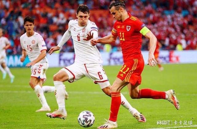 球员在职业 球员在职业