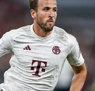 果的主要因 果的主要因