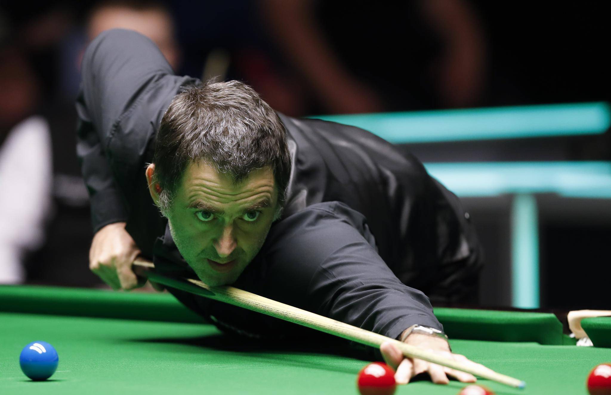 而这对于濒 而这对于濒